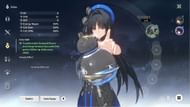 There is an Echo cost limit (Image via Kuro Games)
